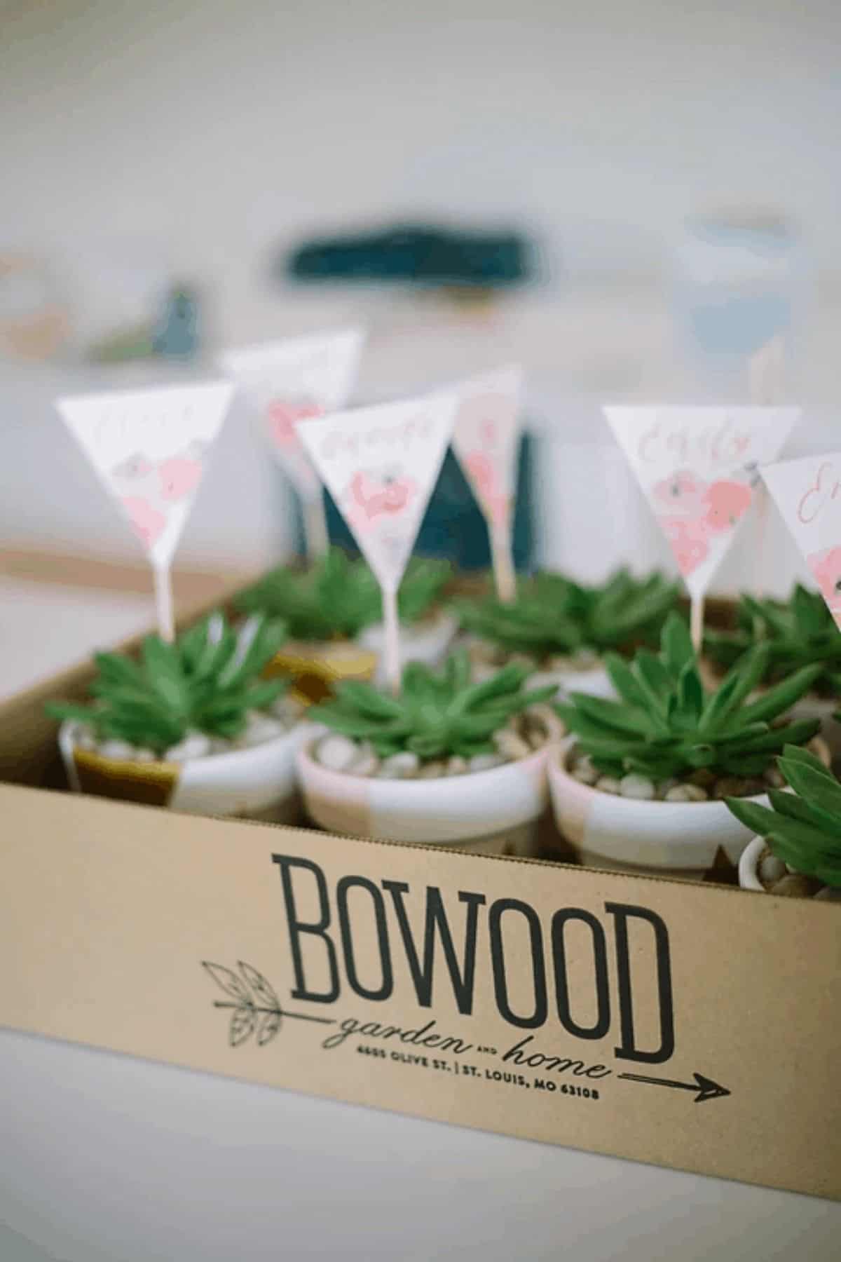 plant placecards