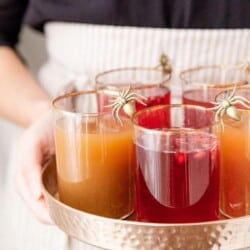 apple cider pomegranate sparklers with spiders close