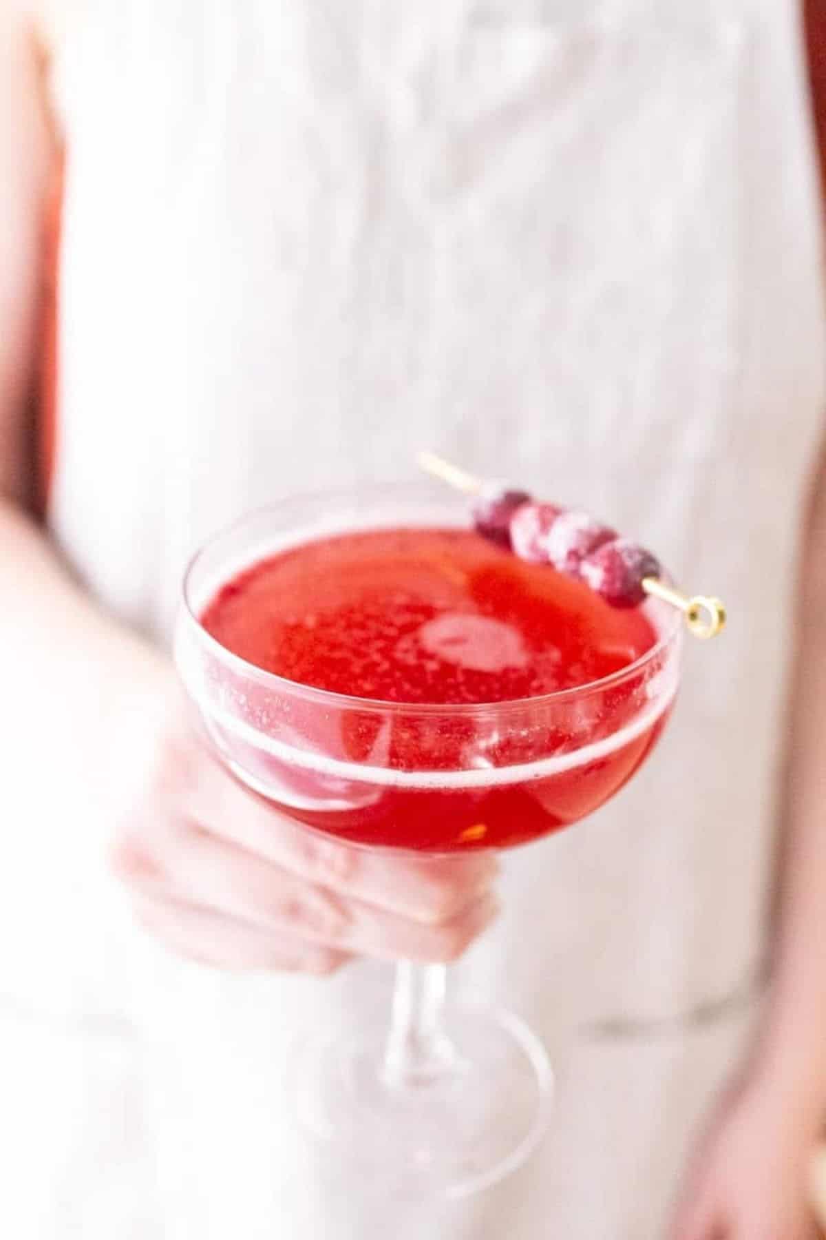 Cranberry-Herb Cocktail in hand