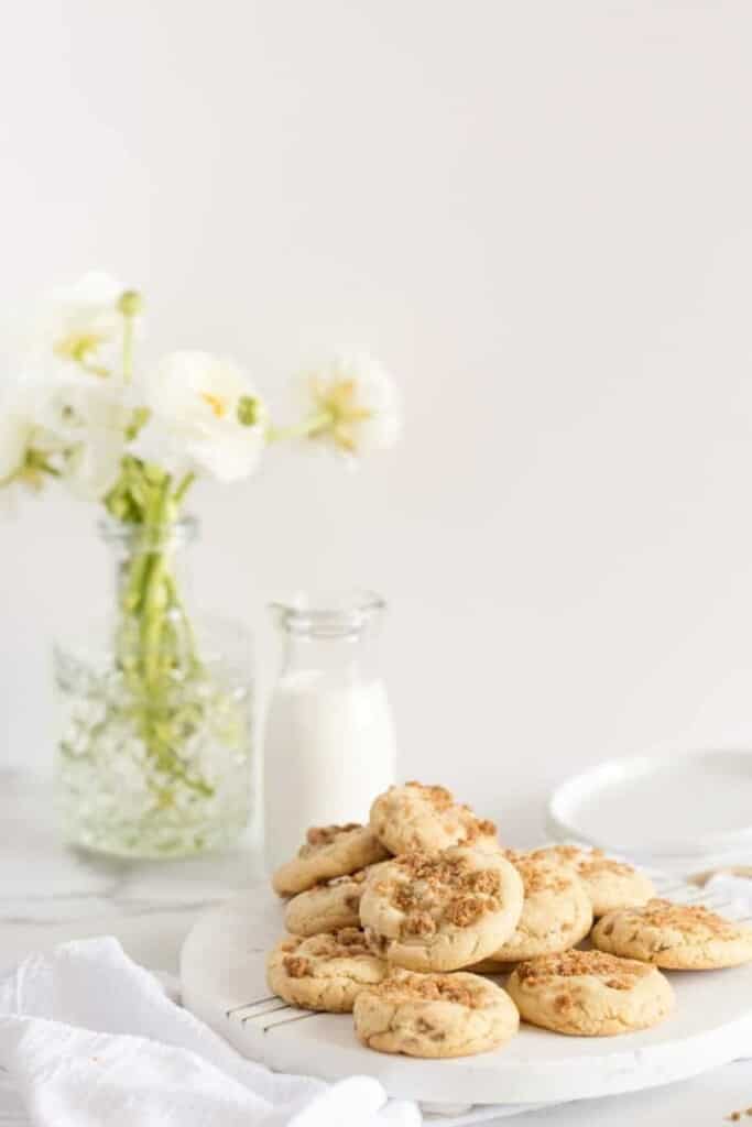 graham cracker cookies with milk