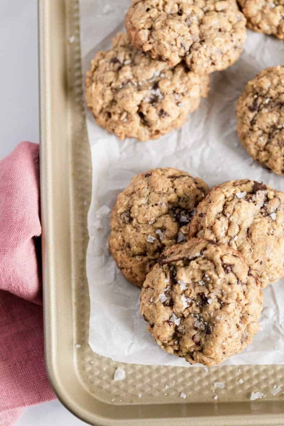 close up of oatmeal chocolate cookie