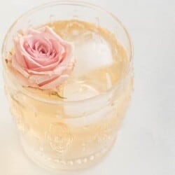 watermelon wine spritzer in a glass with ice and rose