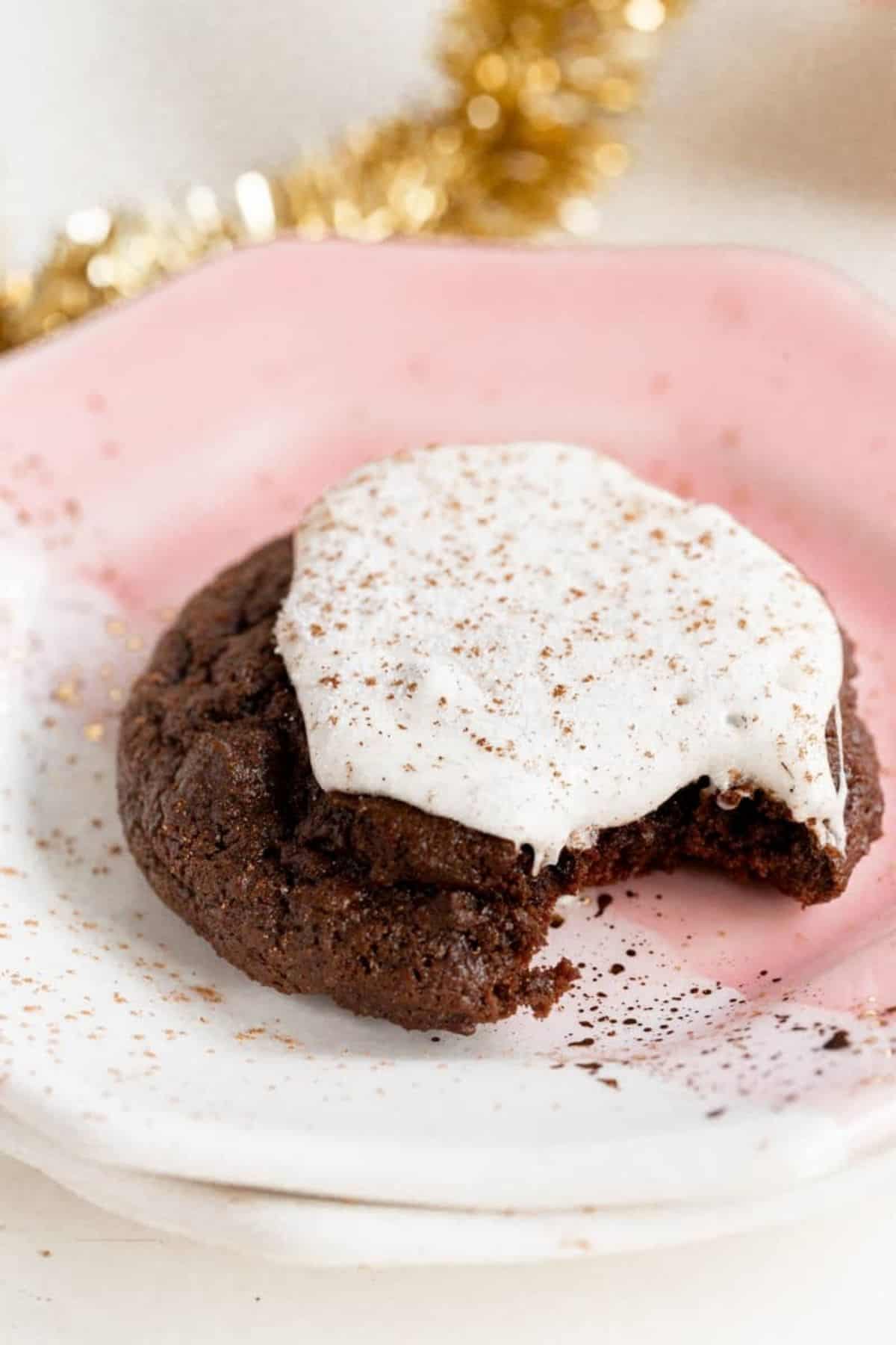 closeup of hot cocoa cookie