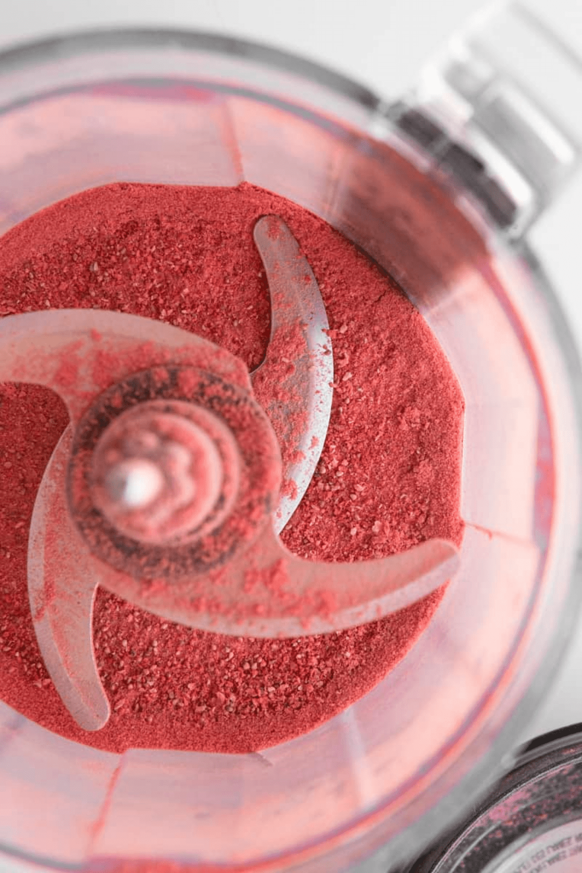 freeze dried strawberries in a blender blended