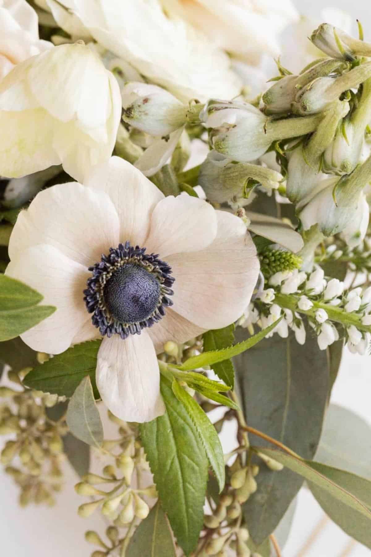 anemone with a blue center