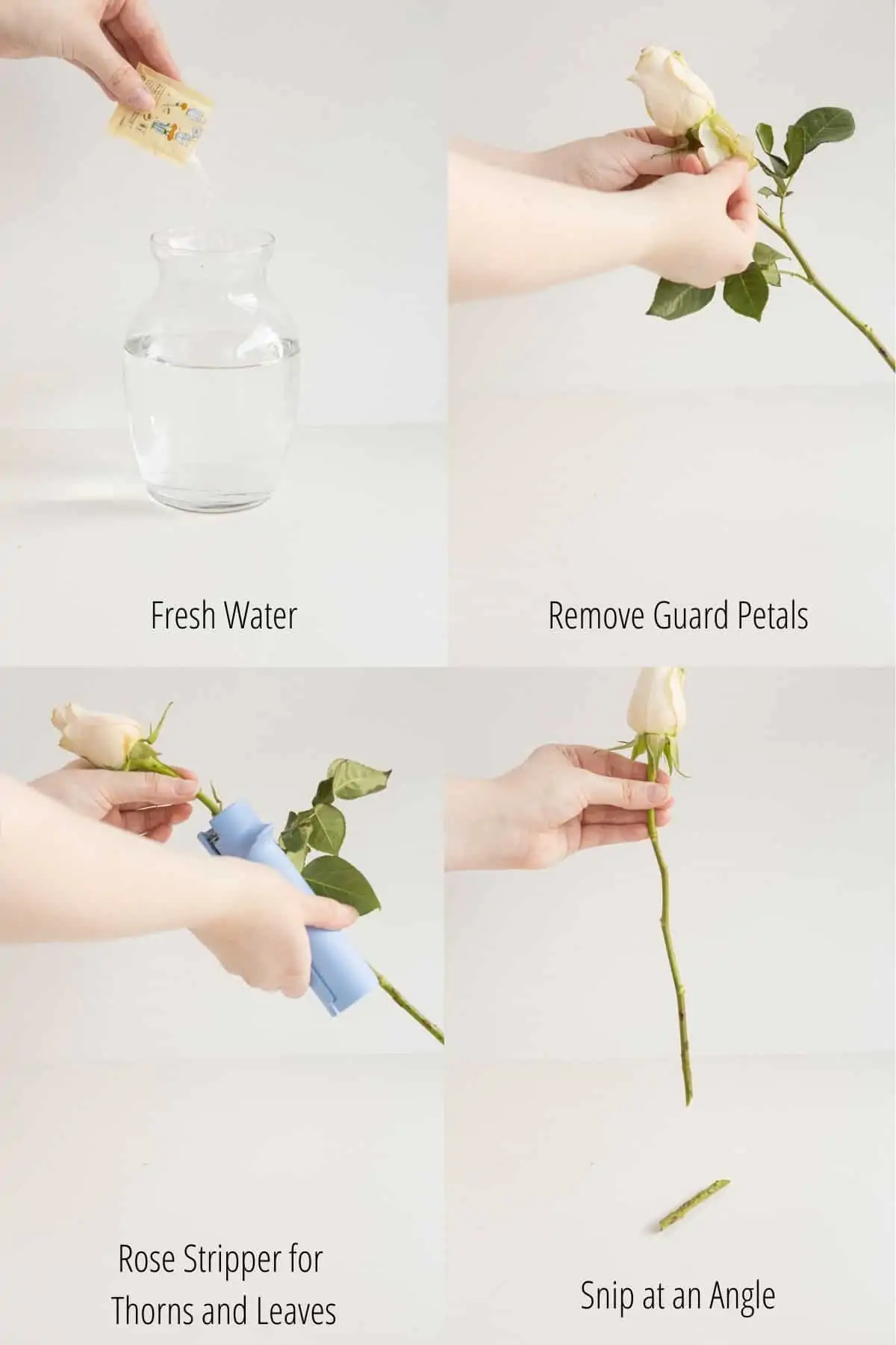 DIY Floral Arrangements to make at Home - Amanda Wilens