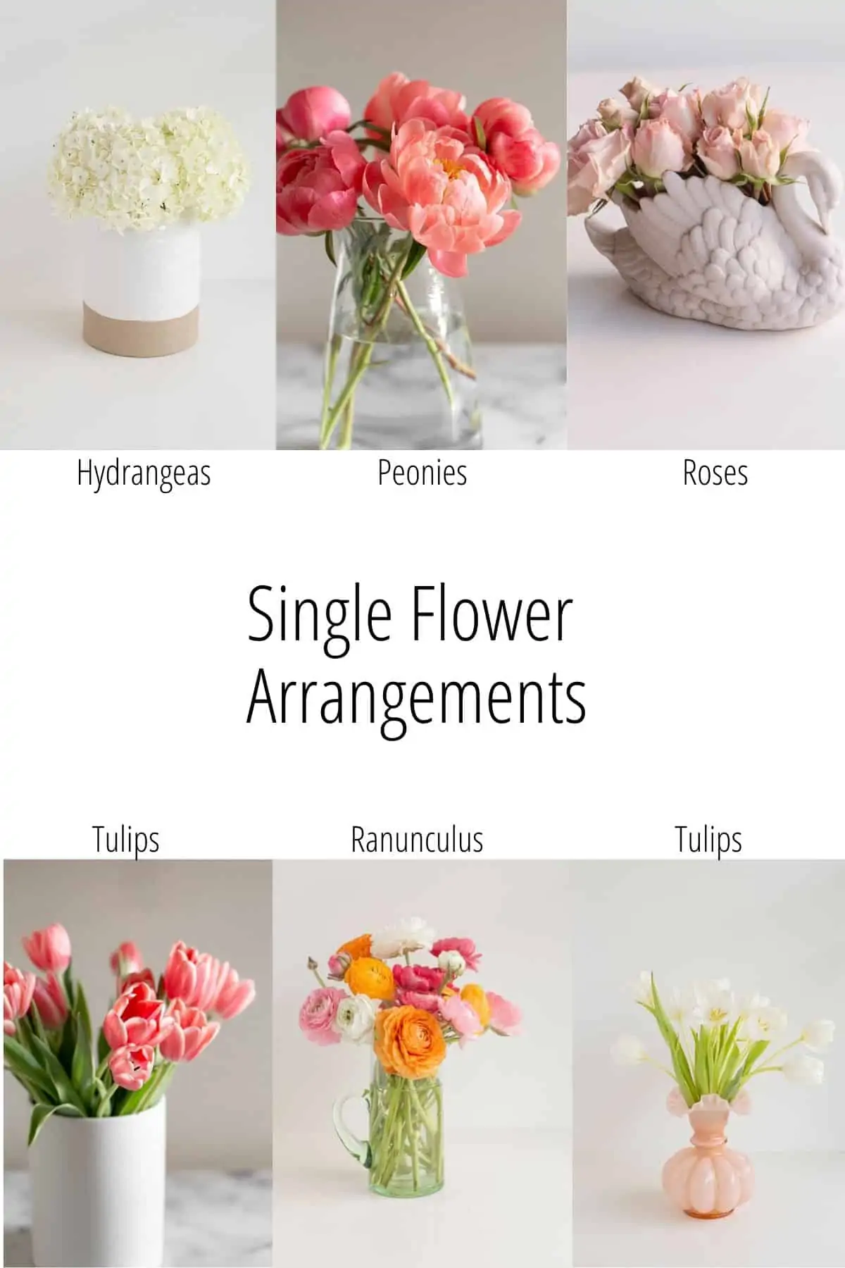 single flower arrangement grraphic